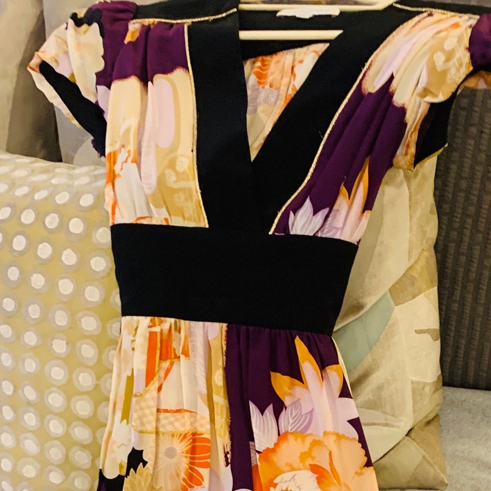 Anthropologie Corey Lynn Calter Silk Dress S 4